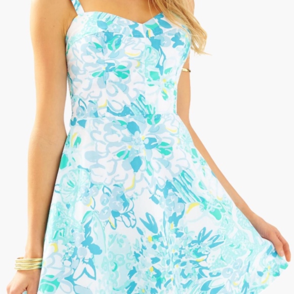Lilly Pulitzer Willow Sundress 8/10 (shrunk) - Picture 1 of 5
